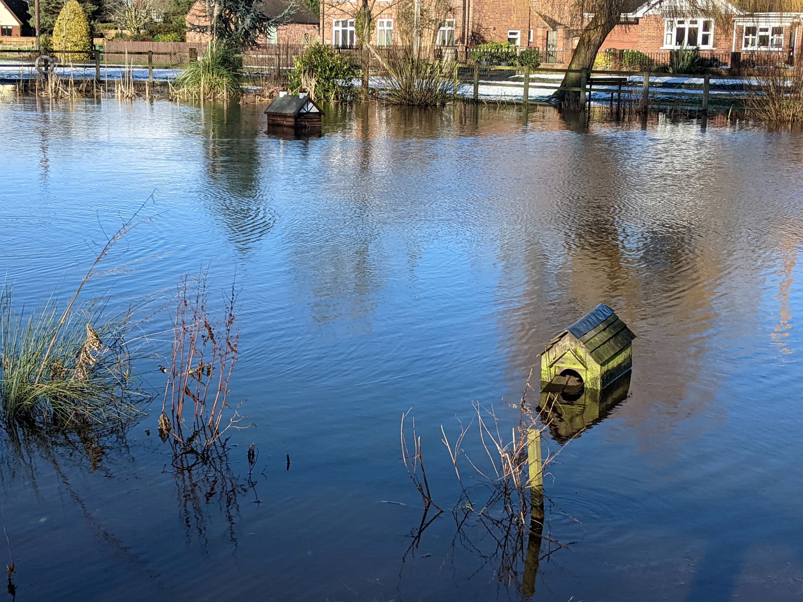 High tide on the village pond after storm Cristoph, January 21st